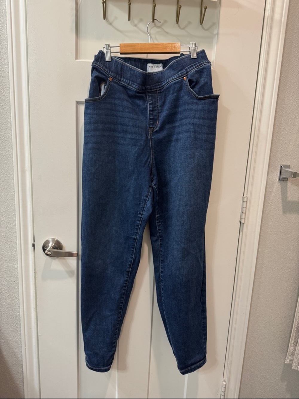 Lane Bryant Dark Blue Stretch Jeggings